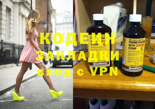 спиды Лагань