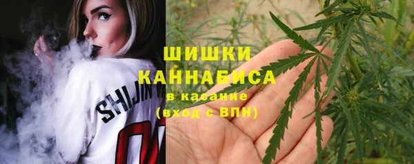 амф Бугульма