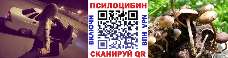 mega зеркало  Верхняя Тура  Псилоцибиновые грибы Cubensis  цены наркотик 